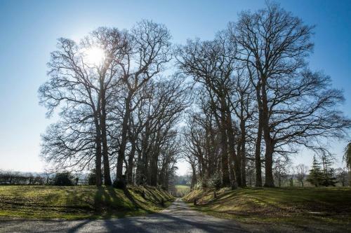 Bed & Breakfast Chateau Des Monts