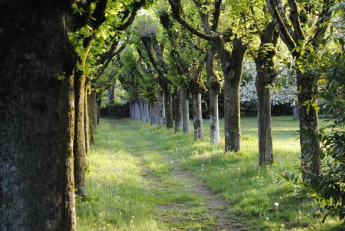G�te Du Ch�teau De La Gavolerie