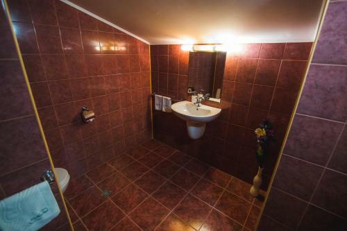 Spa Hotel Borova Gora