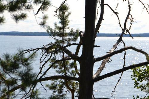 Holiday Home Tuomarniemi