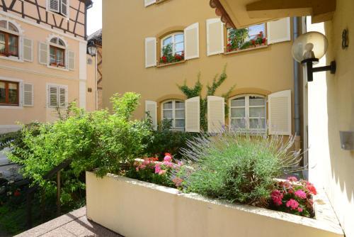 Apartamentos L'appartement De Claire** - Commanderie