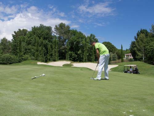 Spacious Holiday Home In Draguignan With Large Pool