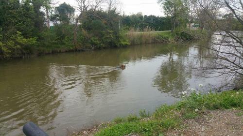 Holiday Home Chemin Des �tangs