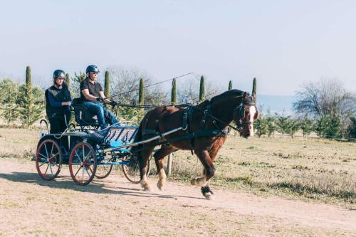 Bed & Breakfast Ferme Les Escuyers
