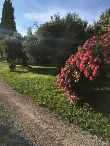 Bed & Breakfast Ferme Les Escuyers