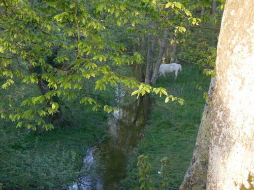 Chalet Les Ma�tres Sonneurs