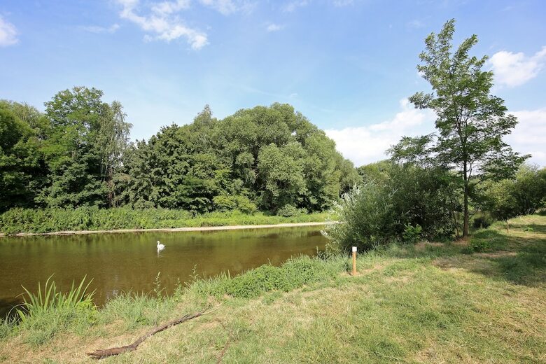 Camping De L?ill - Colmar