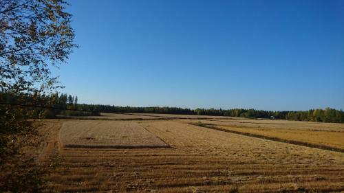Agroturismo Maatilamatkailu Ilom�ki