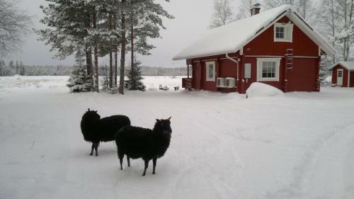 Agroturismo Maatilamatkailu Ilom�ki