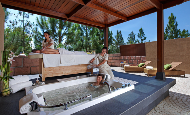 Hotel The Chateau Spa  Organic Wellness Resort