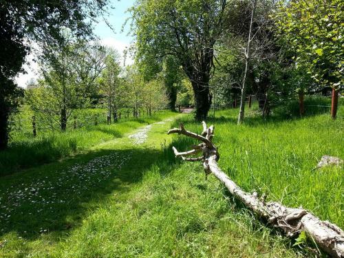 James Tymon Self-catering Cottage