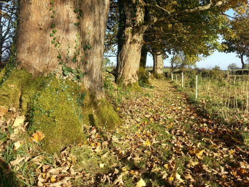 James Tymon Self-catering Cottage