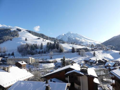 Apartamentos R�sidence 2-235 - Proche Centre Village