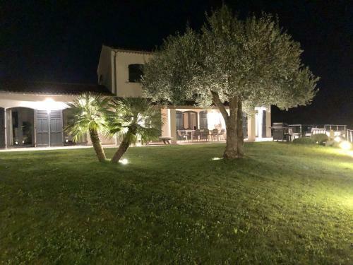 Luxurious Villa In Frejus With Private Swimming Pool