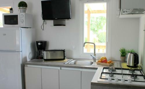 Camping L'ile Aux Oiseaux
