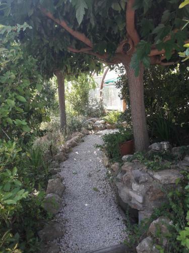 Villa Chemin Du Vic