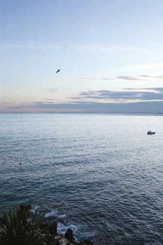 Apartamento Barillerie - Loft Moderne, Face Mer, Vieux-nice.