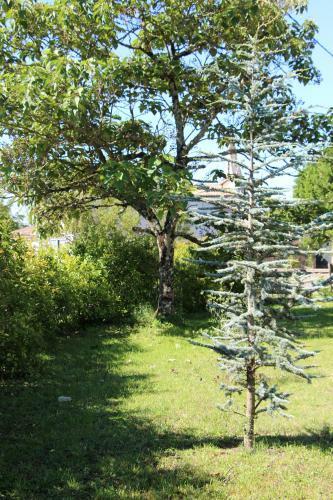 Bed & Breakfast Domaine L'amourette