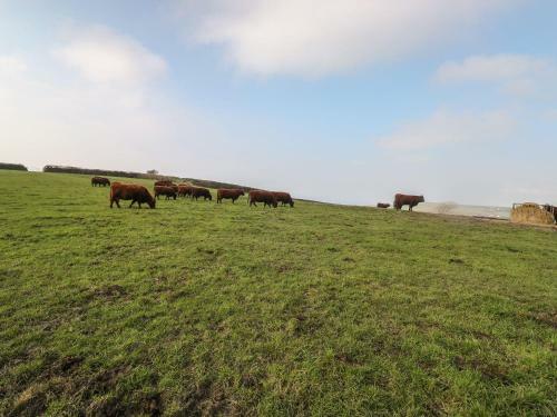 Home Farm Cottage, Boscastle