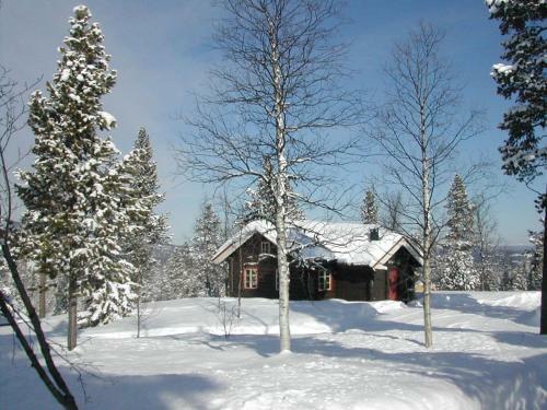 Lodge Nyst�len Hyttegrend