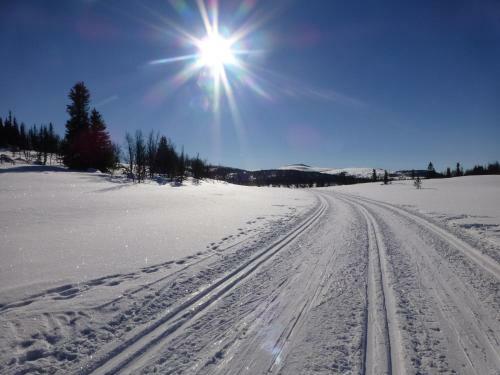 Lodge Nyst�len Hyttegrend
