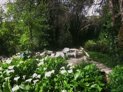 Hotel H�tel Des Cascades Ecolodge