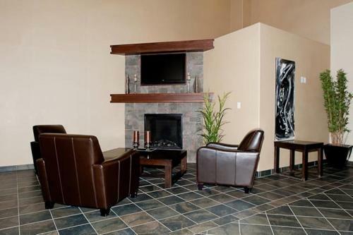 Hotel Paradise Inn And Suites