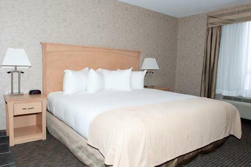 Hotel Paradise Inn And Suites
