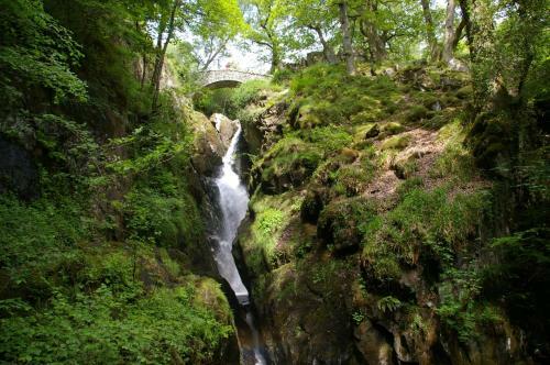 Waterfoot Park