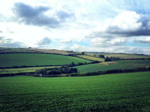 Frome Lodge House, Dorchester