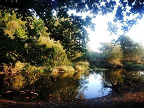 Little Britain, Dorchester