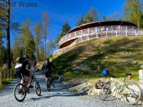 Holiday Home Maes Remyr