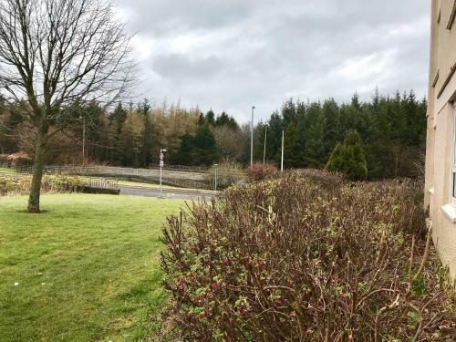 Apartamento The Shaftesbury