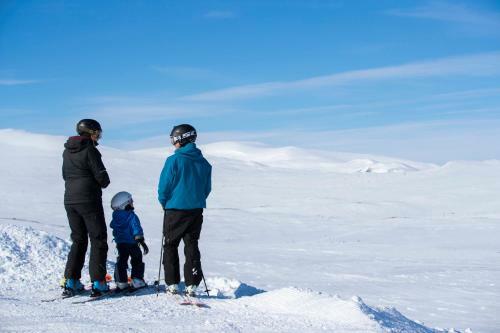 Apartamento Ski Lodge T�nndalen