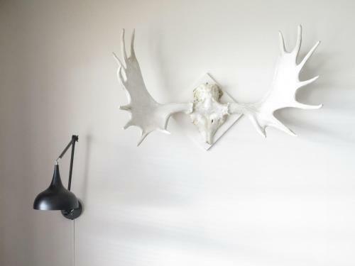 Magic Mountain Lodge - Lyngen