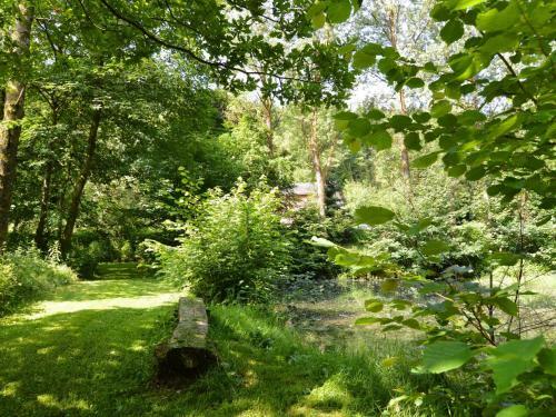 Holiday Home La Buresse Bouillonnoirefontaine