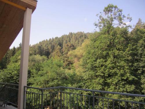 Hostal Hotel In Abastumani ?paliashvili16b?