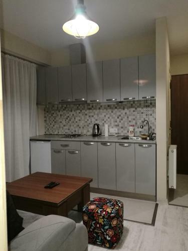 Apartment 311 In The Valley Bakuriani