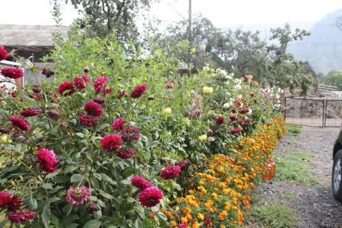 Bed & Breakfast Guest House Tsiskari