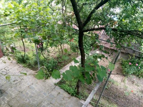 Apartamento Guest House Borjomi