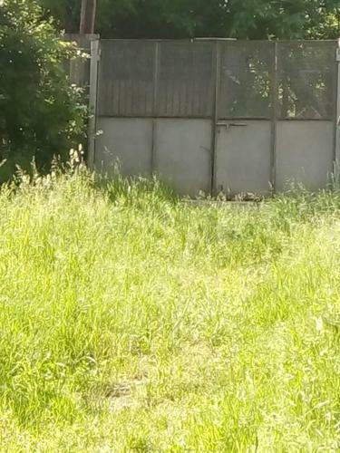 Apartamento Guest House Borjomi