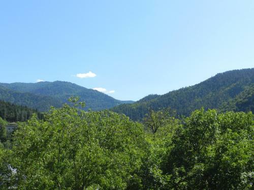 Hostal Zviad Guest House