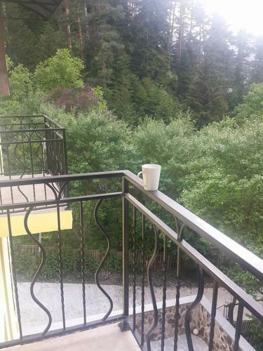 Hostal Guest House Borjomi Forest