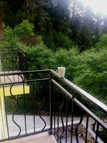 Hostal Guest House Borjomi Forest