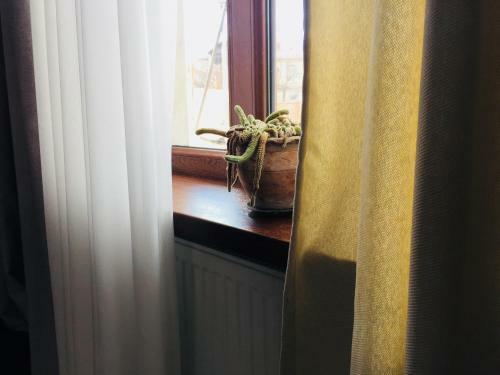 Hostal Guest House Orange Pumpkin
