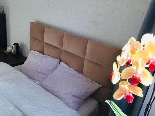 Hostal Guest House Orange Pumpkin