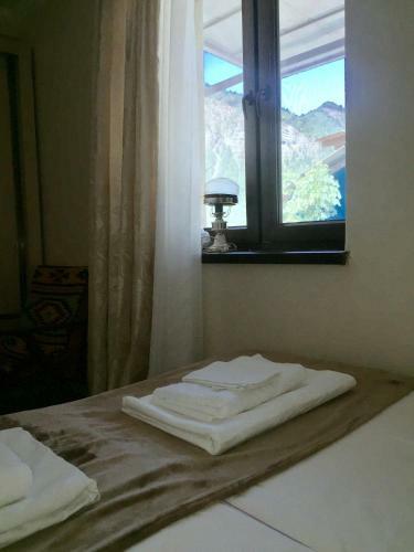 Hostal Guest House Orange Pumpkin