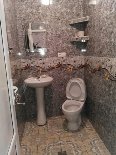 Hostal Traveler Kazbegi Guesthouse