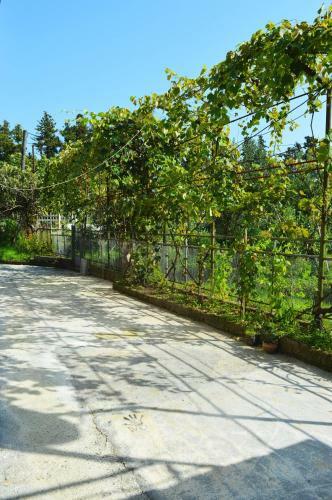 Apartamento Guest House At Nino's