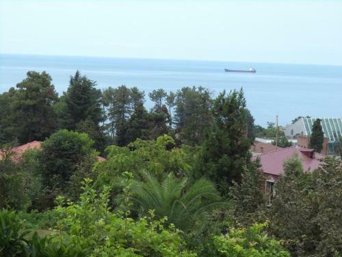 Hostal Maiko's House